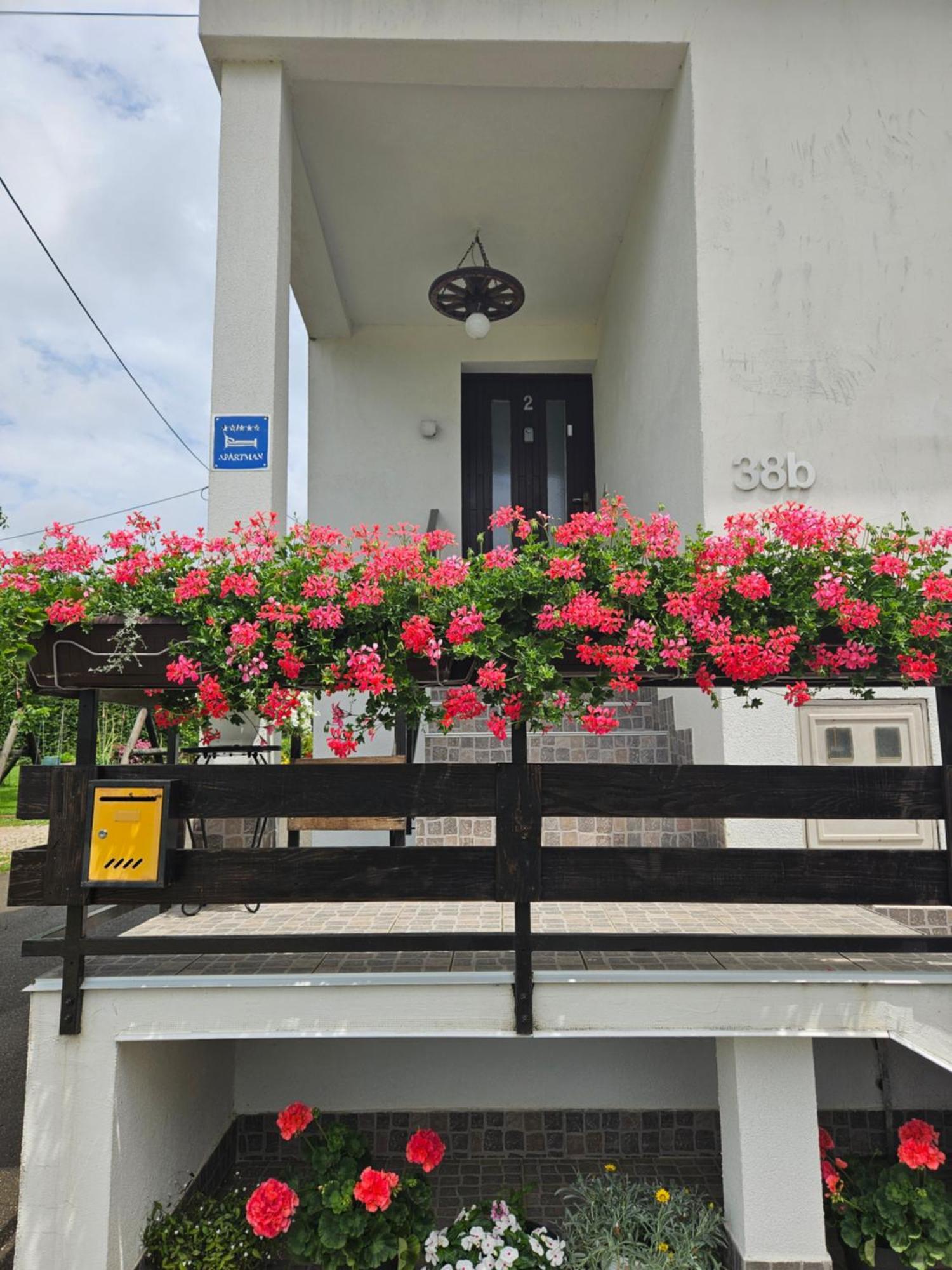 Apartments Luka Rakovica Esterno foto